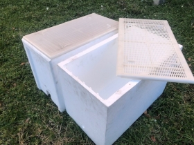 AIRTIGHT LID FOR TRANSPORT FOR POLYSTYRENE BEEHIVE  OF 6 COMBS - ESSEA-ZEUS